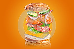 Flying tasty sandwich. Sandwich with flying ingredients.