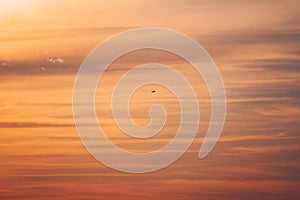 Flying to warmer climes