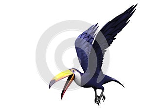 Flying toucan bird