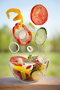 Flying vegetables in a plate for salad in the summer garden