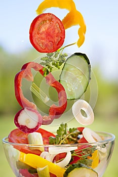 Flying vegetables in a plate for salad in the summer garden