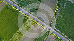 Flying vertically above car driving on road 4K. Aerial shot from top of car vehicle driving on countryside with green