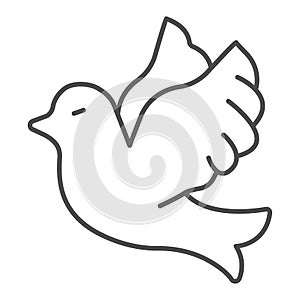 Flying wedding dove thin line icon, domestic animals concept, Flying bird sign on white background, pigeon bird icon in photo