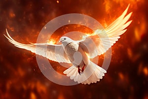 Flying white dove in fire background. Symbol of the Holy Spirit descent upon the Apostles and other followers of Jesus.