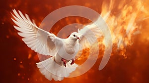 Flying white dove in fire background. Symbol of the Holy Spirit descent upon the Apostles and other followers of Jesus.