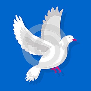 Flying white pigeon isolated on blue background vector illustration