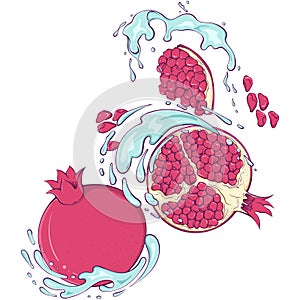 Flying whole and half pomegranate with splash color