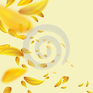 Flying yellow petals