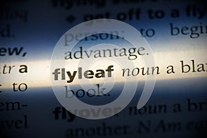 Flyleaf