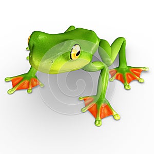 Flyng frog photo