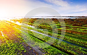 The Flysch of the Basque Coast at sunset, Sakoneta, Zumaia