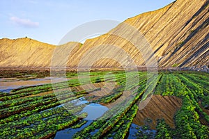 The Flysch of the Basque Coast at sunset, Zumaia