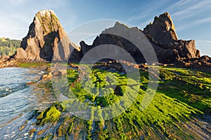 Flysch on the beach Saturraran