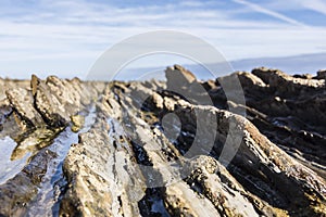 Flysch of Zumaia