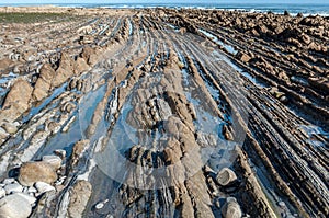 Flysch of Zumaia