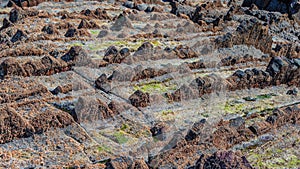 Flysch in Zumaia, Basque Country Spain