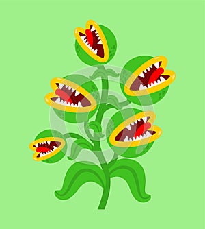 Flytrap monster plant. Flower predator Carnivorous plant. Angry Flowers with Teeth