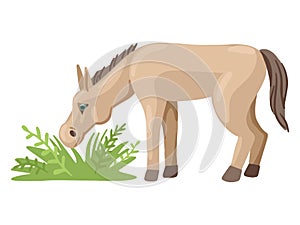 Foal or a donkey grazes in a meadow, eats grass. Vector character.