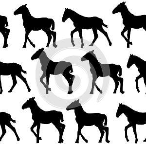 Foals silhouettes in rows seamless background