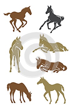 Foals vector design