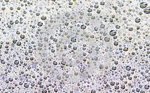 Foam bubbles texture light gray background