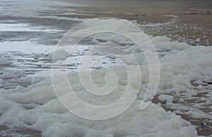 Foam created by the agitation of seawater