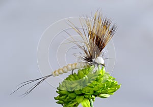Foam Dry Fly