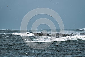 Foam flying in the air from strong waves coming ashore