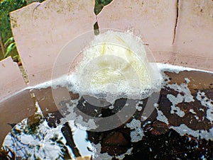 foam frog eggs in water