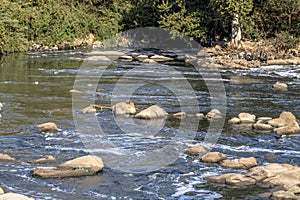 Foam of pollution on the Tiete River,