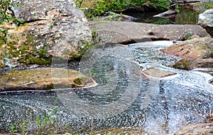 Foam and ripples in a forest creek