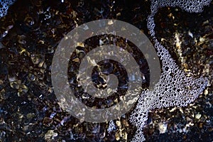 Foam on the water. Dark water