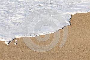 Foaming breaking wave and backwash foam on a sandy shoreline