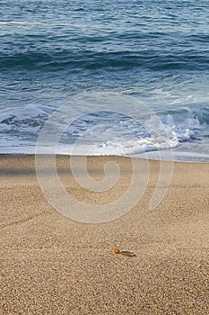 Foaming breaking wave and backwash foam on a sandy shoreline