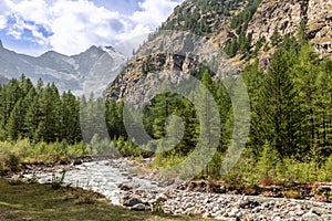 Foaming rushing water stream along rocky rapids in gorge between Italian Alps in Gran Paradiso National Park