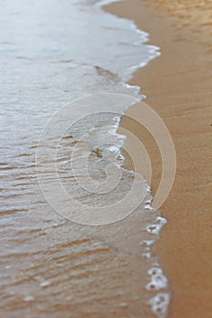 Foaming Sea Wave and sand on a sunny beach