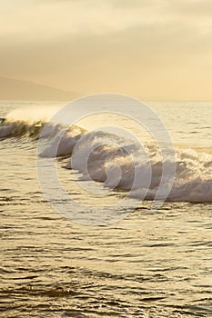 Foaming wave breaking into the distance across a yellow ocean with backspray