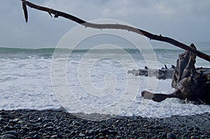 Foaming wave races up pebble beach to engulf a driftwood log