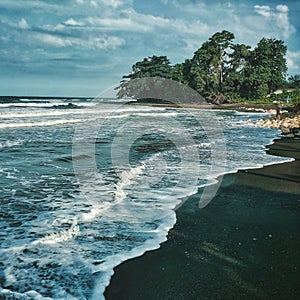 Foamy beach with tropical vegetation and a dramatic sky