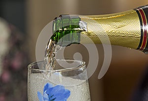 Foamy champagne in a glass