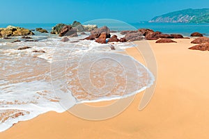 Foamy ocean wave on a sandy beach