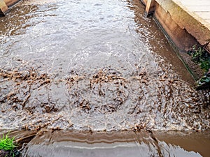 Foamy river sewage with concentrated biomass