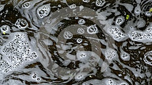 Foamy River Water Bubbles Texture Background