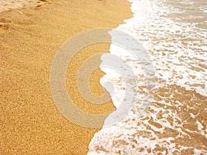 Foamy sea shore photo