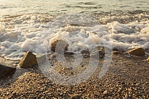 Foamy sea shore at the beach, close up