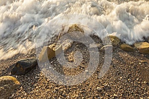 Foamy sea shore at the beach, close up