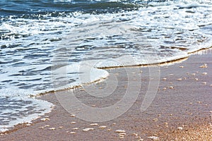 A foamy sea wave rolls onto the sandy beach on a sunny summer day.
