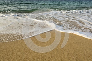 Foamy soft wave on sand beach