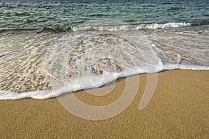 Foamy soft wave on sand beach