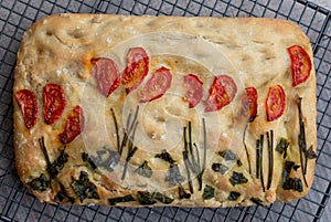 Focaccia garden, decorated with chives, basil and tomatoes, cooling on a wire tray.
